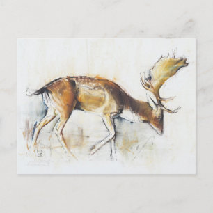 Postal Pisanello Buck 2006