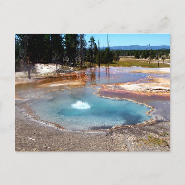 Postal Piscina Abyss Hot Springs Yellowstone Parque Nacio (Anverso)