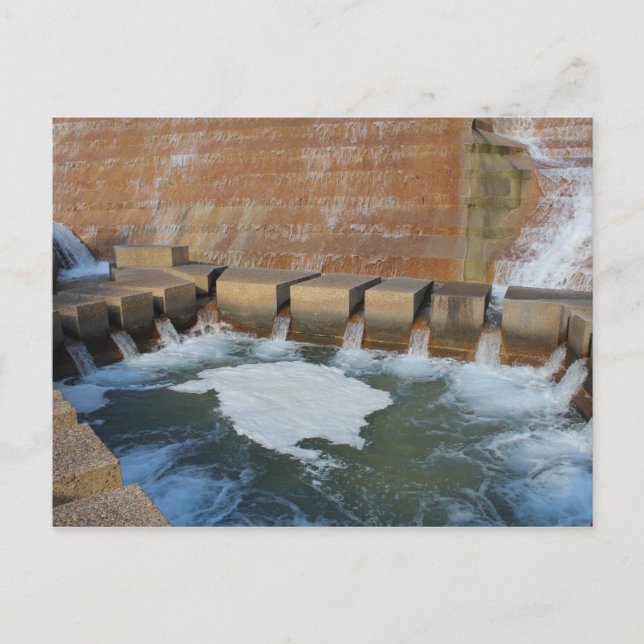 Postal Piscina activa de agua - Jardín acuático Fort Wort (Anverso)