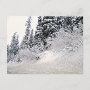 Postal Piscina cubierta de nieve