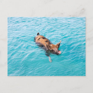 Postal Piscina de Exuma