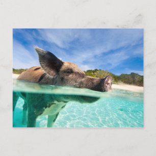 Postal Piscina de Exuma