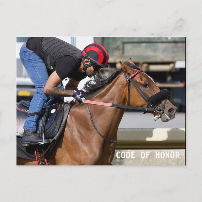 Postal Pista de entrenamiento del Parque Belmont (1) (Anverso)