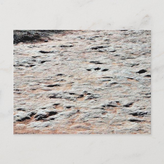 Postal Pistas de dinosaurios (Anverso)