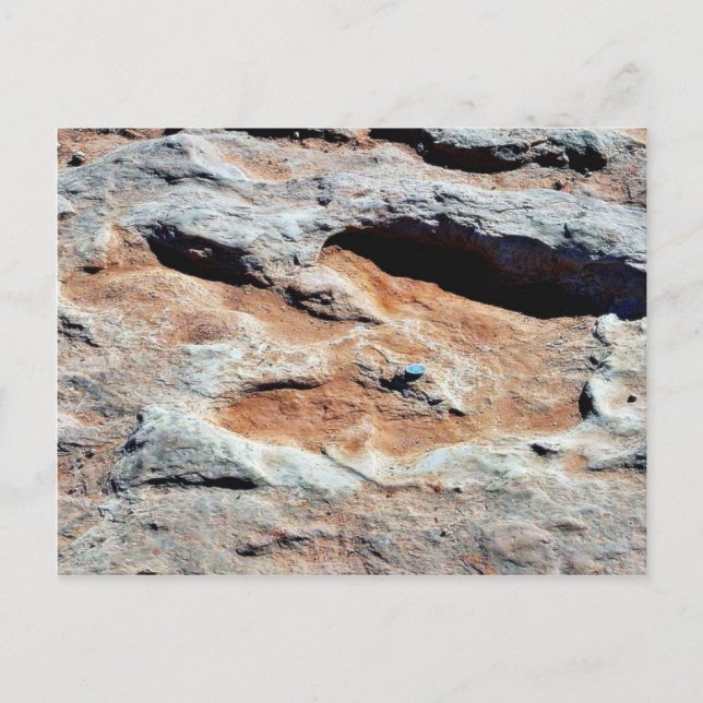 Postal Pistas De Dinosaurios Al Norte De Flagstaff (Anverso)