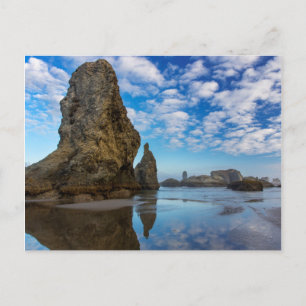 Postal Pistas de mar en la playa de Bandon, Oregón 1