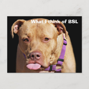 Postal Pit Bull