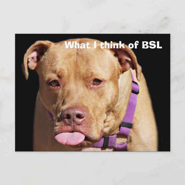 Postal Pit Bull (Anverso)