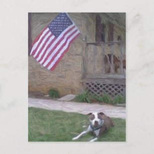Postal Pit Bull/BSL