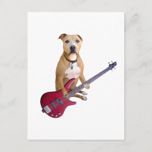 Postal Pit Bull con guitarra