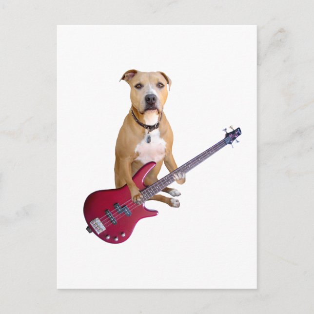 Postal Pit Bull con guitarra (Anverso)