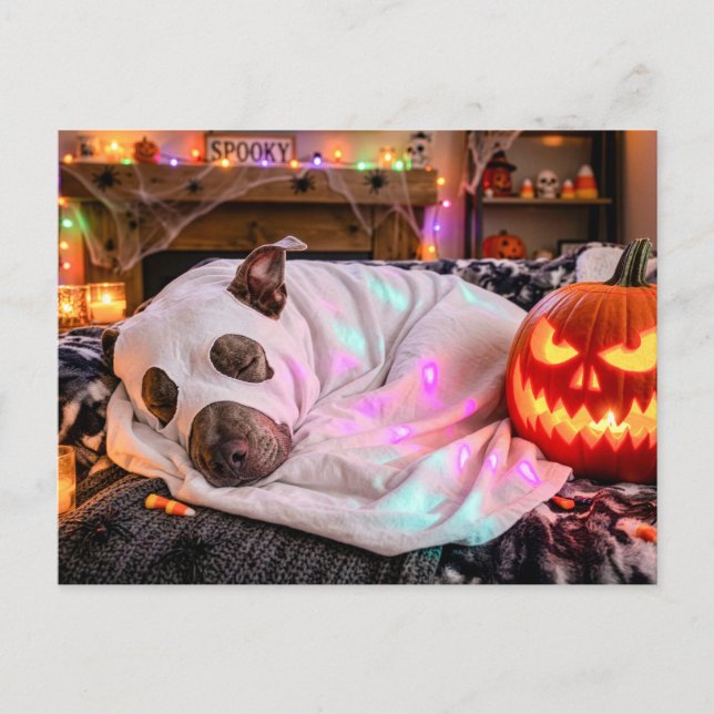 Postal Pit Bull durmiendo con disfraz de fantasma Hallowe (Anverso)