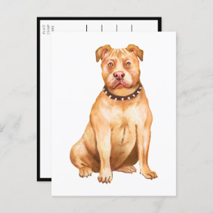 Postal Pit Bull Pittie Perro Cachorro Miss Tú Amas Pitbul