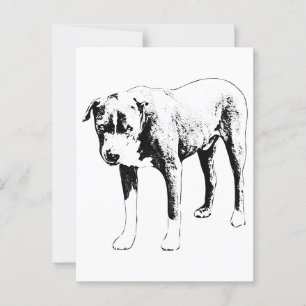 Postal Pit Bull Post, Snow Day Hello