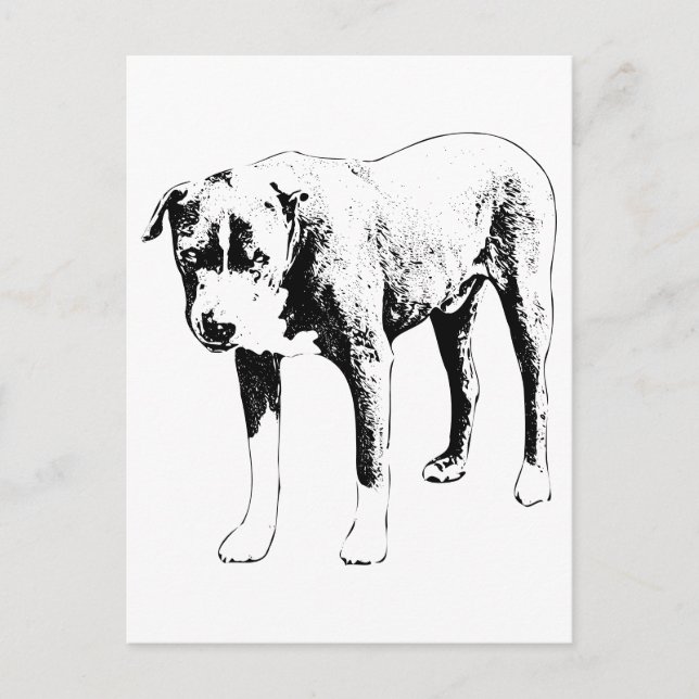 Postal Pit Bull Post, Snow Day Hello (Anverso)