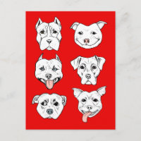 Pit Bull Terrier Dog Red