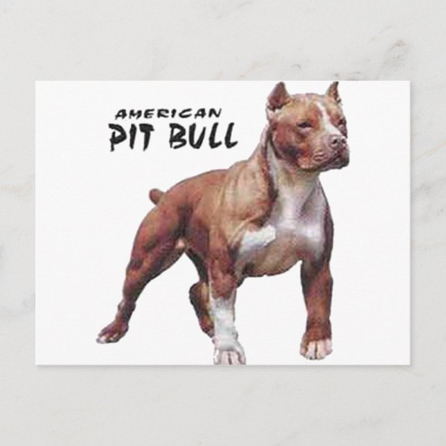 Postal Pitbull (Anverso)