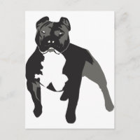 Pitbull