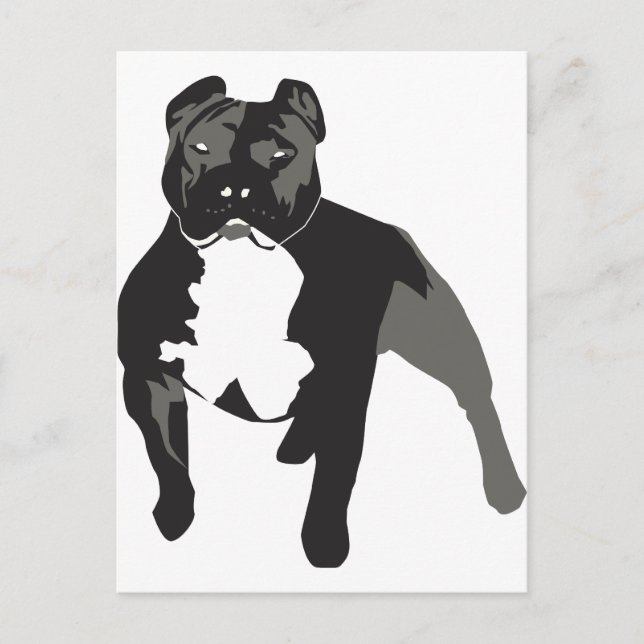 Postal Pitbull (Anverso)