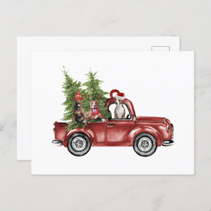 Postal Pitbull En Coche Ornamento De Navidad Graciosos Re