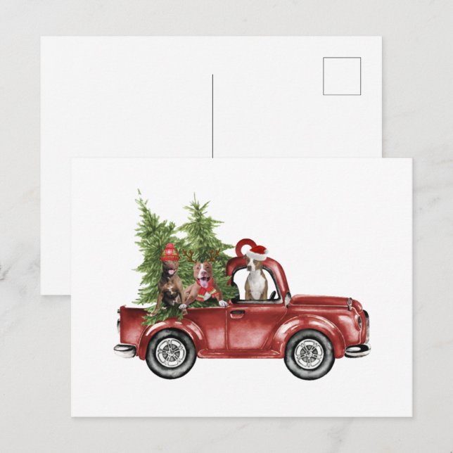 Postal Pitbull En Coche Ornamento De Navidad Graciosos Re (Anverso / Reverso)