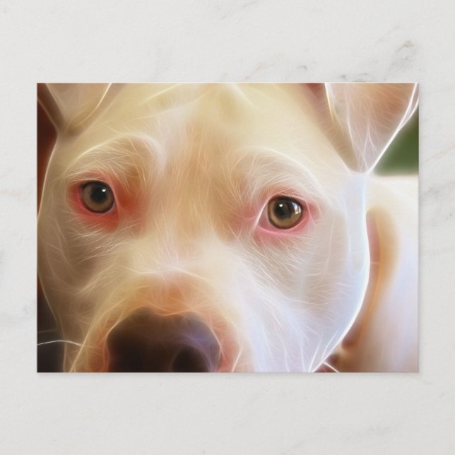 Postal Pitbull Puppy Dog Eyes Art Photography (Anverso)