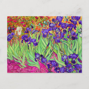 Postal PixDezines van gogh iris/st. remy