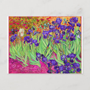Postal PixDezines van gogh iris/st. remy