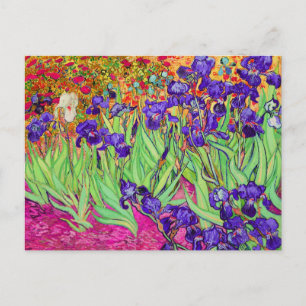 Postal PixDezines van gogh iris/st. remy