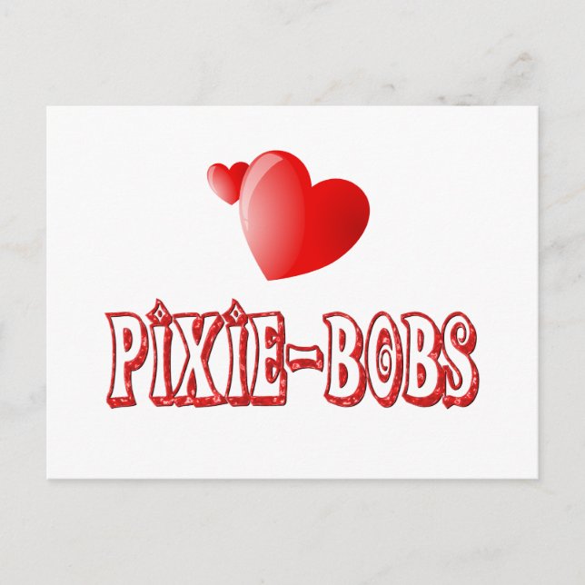 Postal Pixie-Bob Love (Anverso)