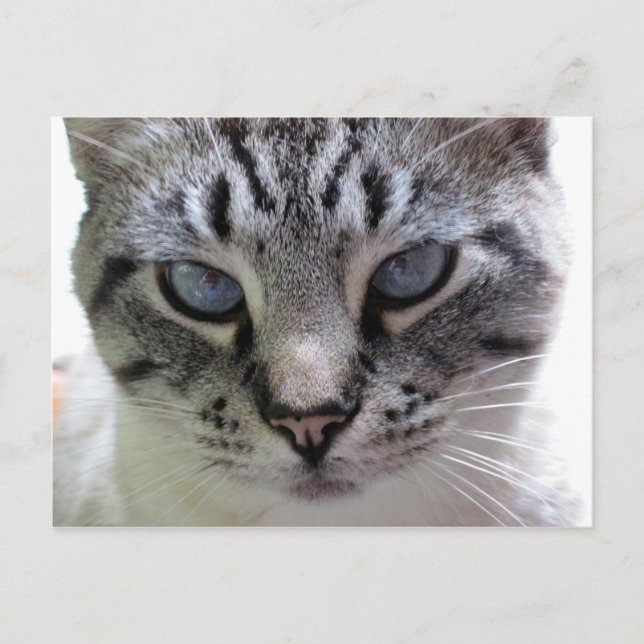 Postal Píxige hacia arriba (Anverso)