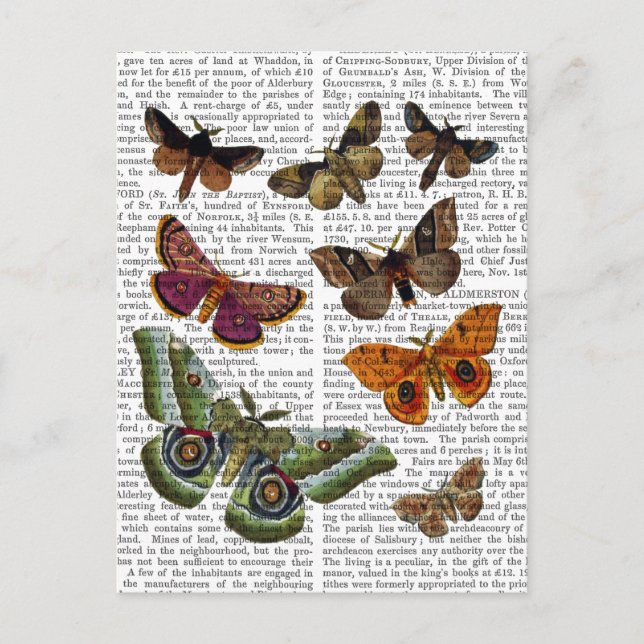 Postal Placa 3 (Anverso)