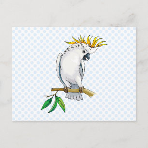 Postal Placido Parrot