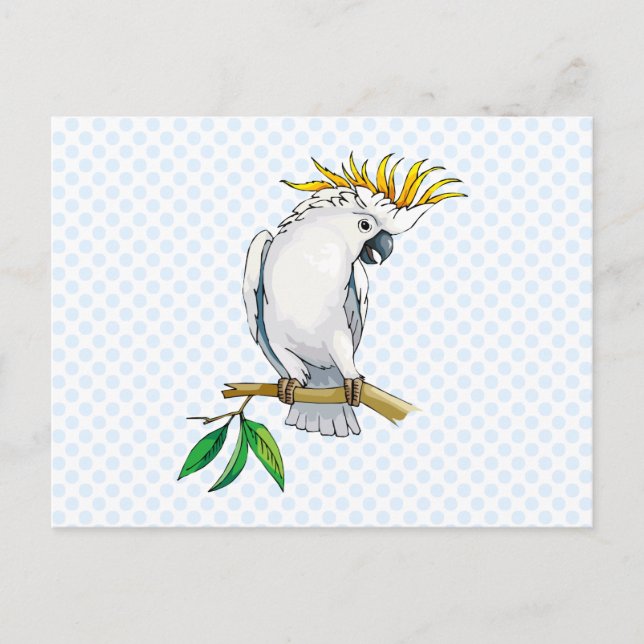 Postal Placido Parrot (Anverso)