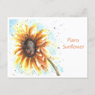 Postal Plains Sunflower Post Card