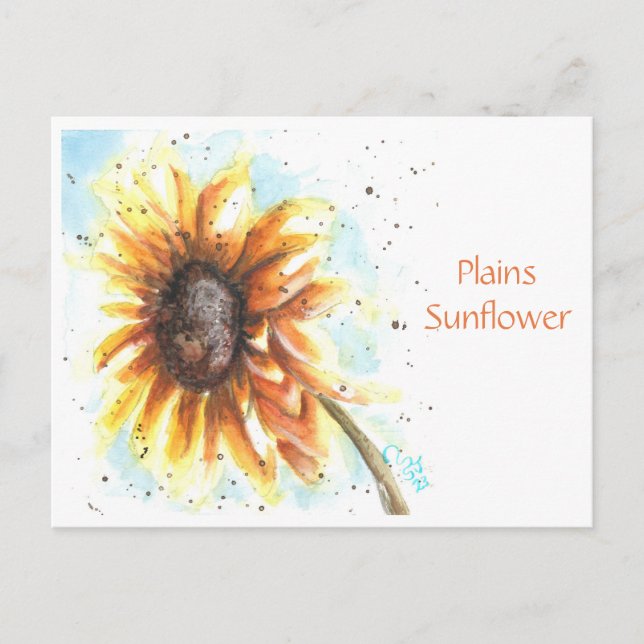 Postal Plains Sunflower Post Card (Anverso)