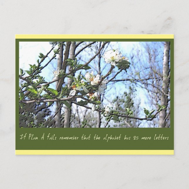 Postal Plan A (Anverso)