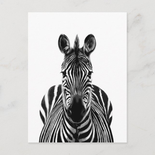 Postal Plan de respaldo III (Anverso)