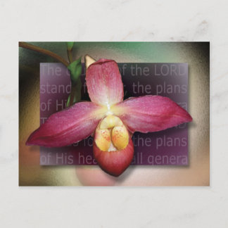 Postal Planes de su corazón