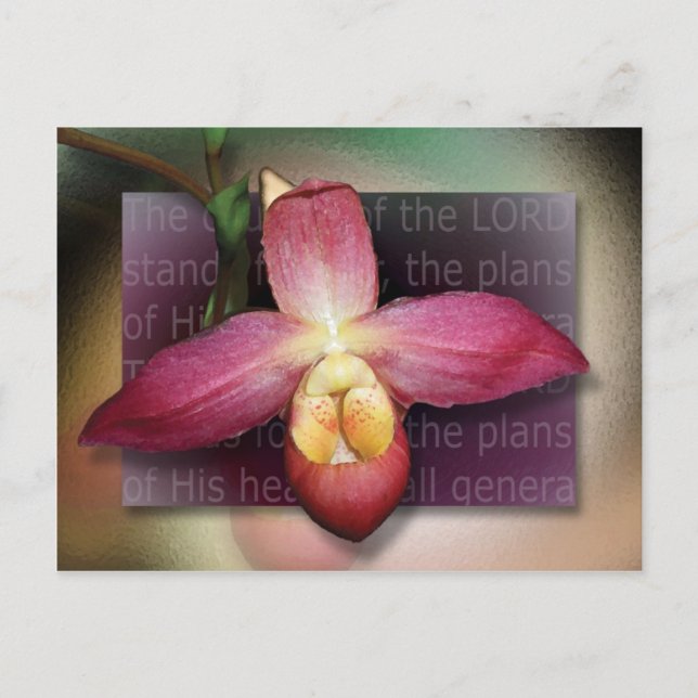 Postal Planes de su corazón (Anverso)