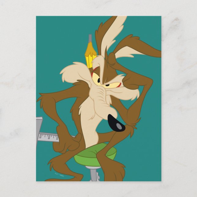 Postal Planificación de WILE E. COYOTE™ (Anverso)