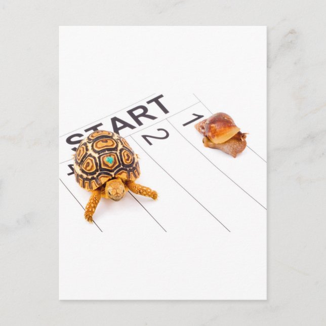 Postal Plano (Anverso)