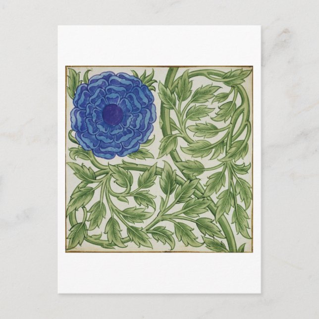 Postal Planta con flor azul (p/c sobre papel) (Anverso)