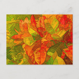 Postal Planta Croton Variegatum