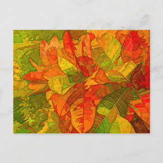 Postal Planta Croton Variegatum