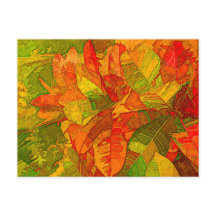 Planta Croton Variegatum