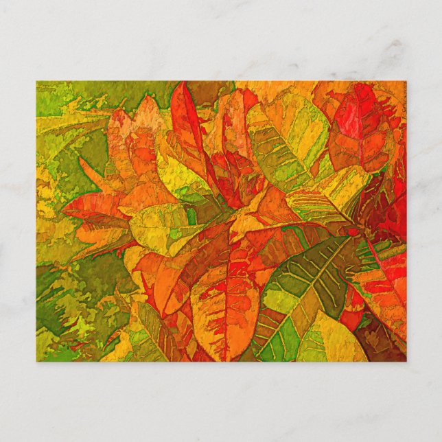 Postal Planta Croton Variegatum (Anverso)