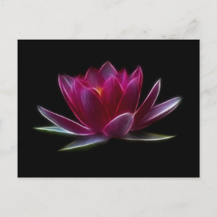 Postal Planta de agua de la flor de Lotus