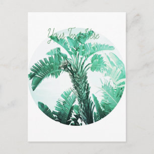 Postal Planta de banana de hoja verde