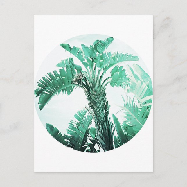 Postal Planta de banana de hoja verde (Anverso)